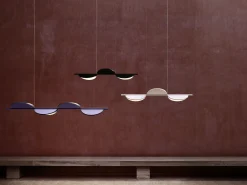 Almendra Linear
