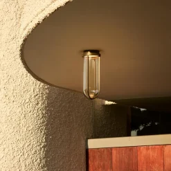 In Vitro Ceiling