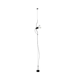 Parentesi dimmer
