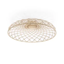 Skynest C