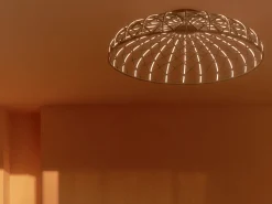 Skynest C