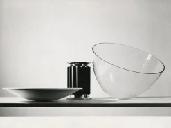 Taccia Small